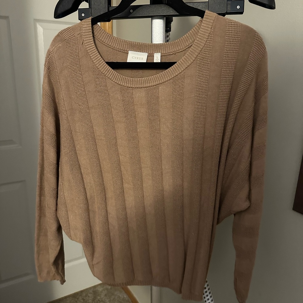 Cyrus Women's Brown Crew Neck Sweater